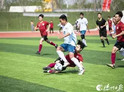 一站式专业博彩平台推荐-瑞典队经过激烈对抗获得一场胜利英语